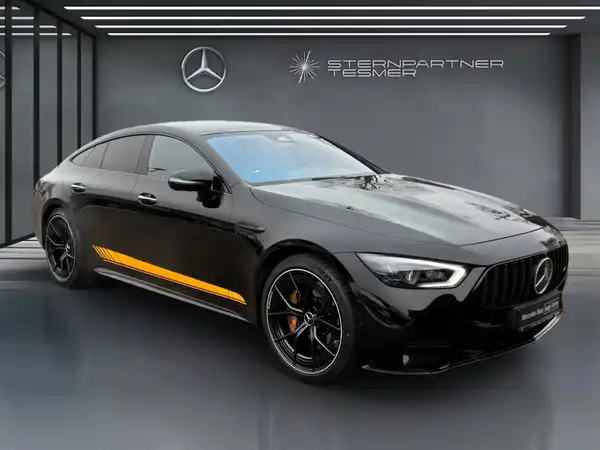 MERCEDES-BENZ AMG GT 63 S 4M+ (18/18)