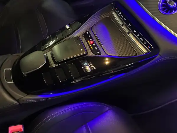 MERCEDES-BENZ AMG GT 63 S 4M+ (14/19)