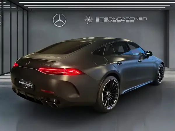 MERCEDES-BENZ AMG GT 63 S 4M+ (15/19)