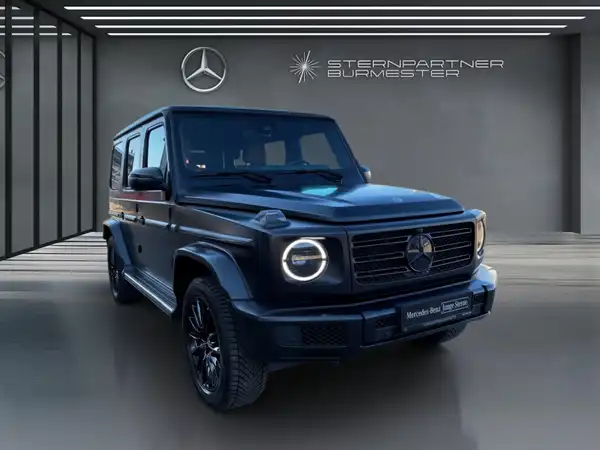 MERCEDES-BENZ G 400 d (17/17)