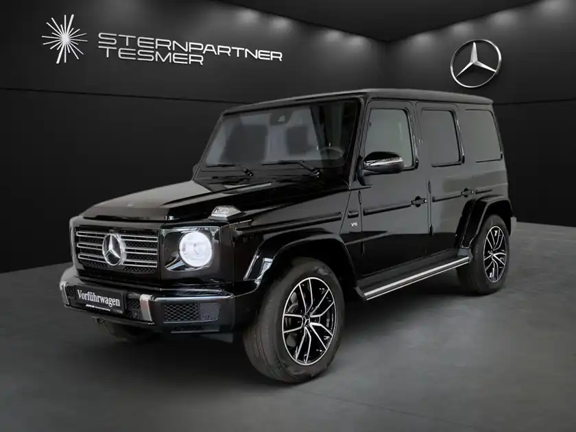 MERCEDES-BENZ G 500 (1/14)