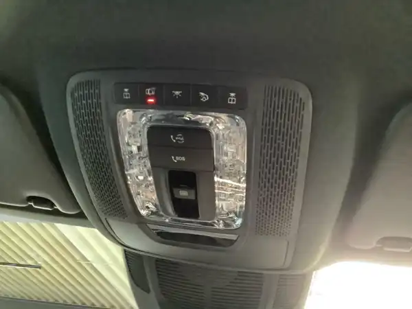 MERCEDES-BENZ GLS 580 4M (19/20)