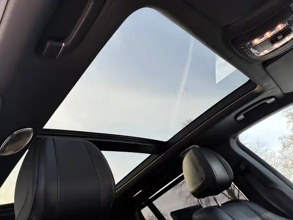 MERCEDES-BENZ Maybach GLS 600 (17/19)