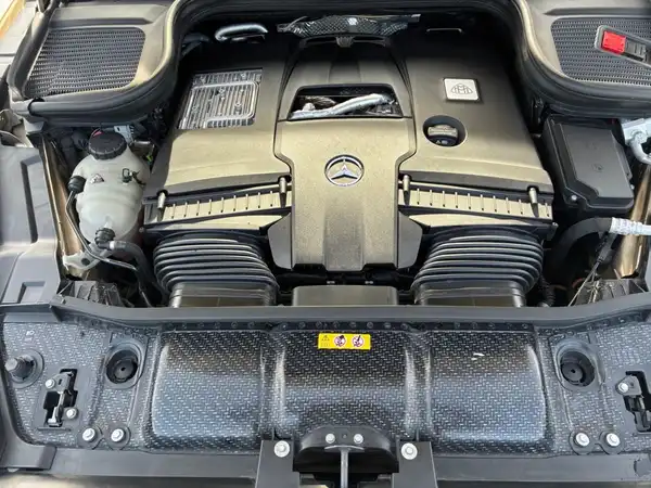 MERCEDES-BENZ Maybach GLS 600 (4/19)