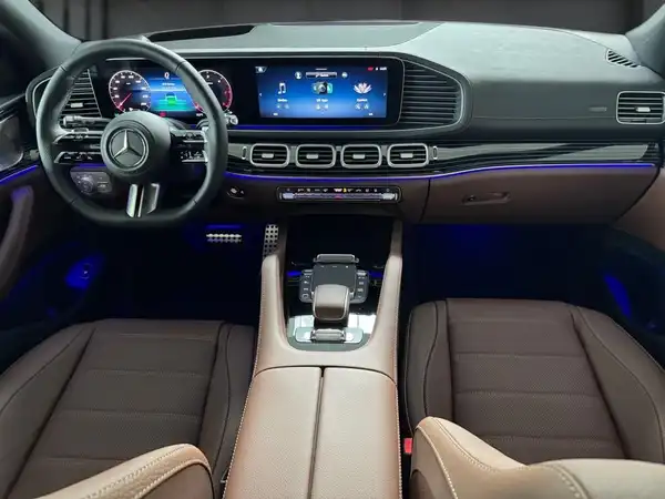 MERCEDES-BENZ GLS 450 d 4MATIC (13/18)