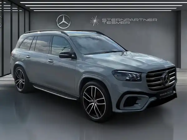 MERCEDES-BENZ GLS 450 d 4M (18/18)