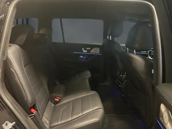 MERCEDES-BENZ GLS 450 d 4M (13/19)