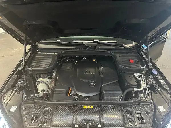 MERCEDES-BENZ GLS 450 d 4M (4/19)