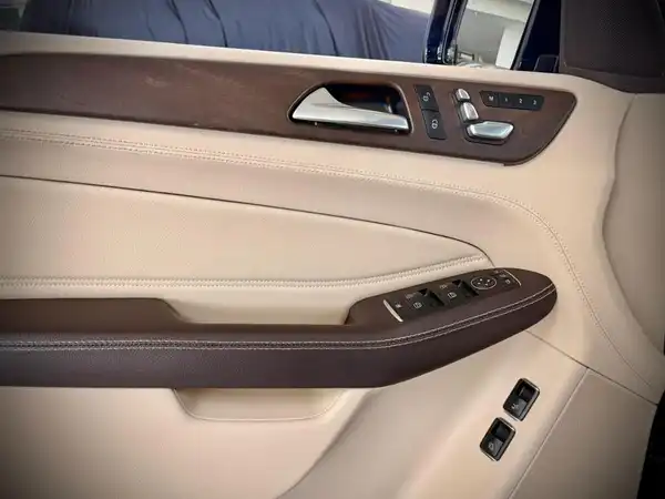 MERCEDES-BENZ GLS 350 d 4M (13/20)