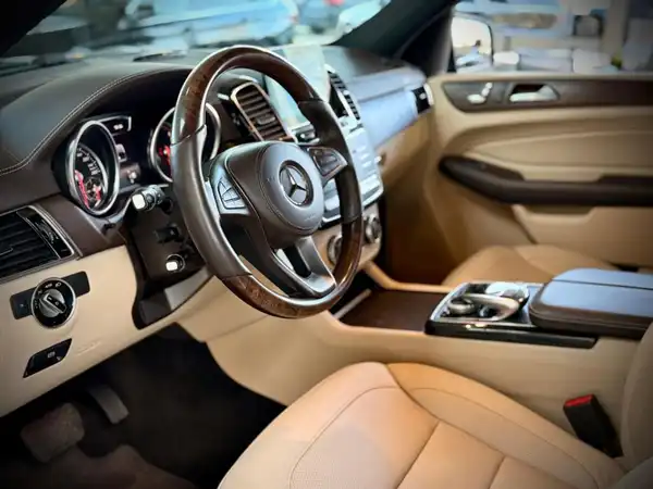 MERCEDES-BENZ GLS 350 d 4M (14/20)