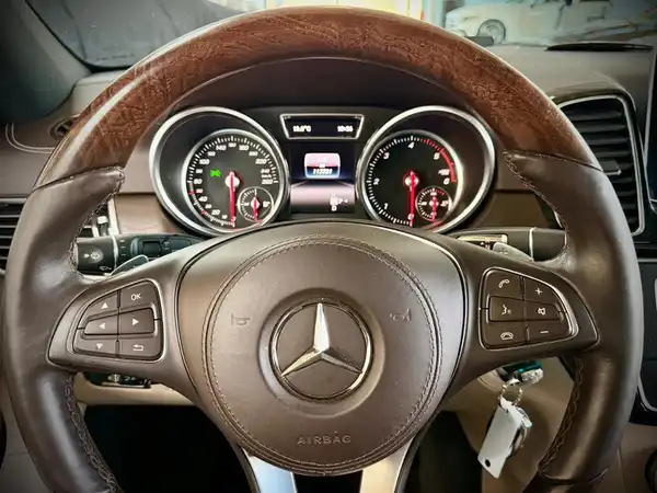 MERCEDES-BENZ GLS 350 d 4M (17/20)