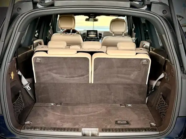 MERCEDES-BENZ GLS 350 d 4M (4/20)