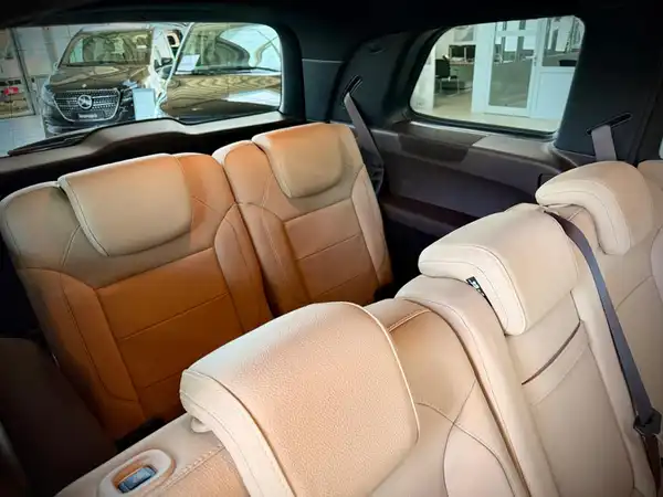 MERCEDES-BENZ GLS 350 d 4M (10/20)