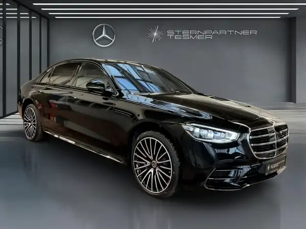 MERCEDES-BENZ S 450 d 4MATIC Limousine Langversion (19/19)